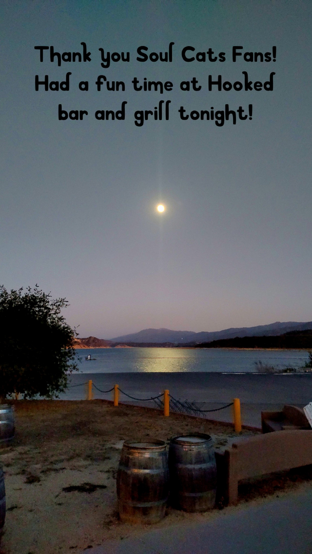 Soul Cats performance 8